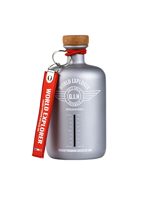 G.I.N. World Explorer