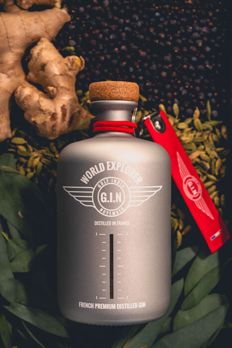 G.I.N. World Explorer – Image 3